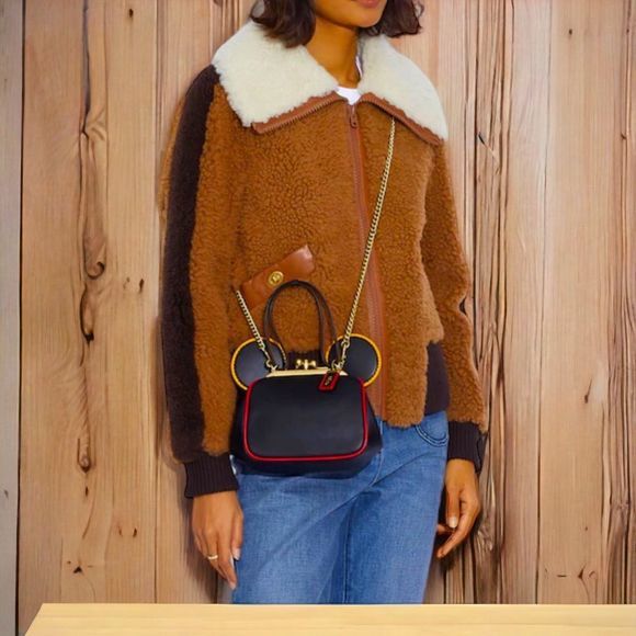 NWT Coach Disney Mickey Mouse X Keith Haring Kisslock Bag - Picture 3 of 6